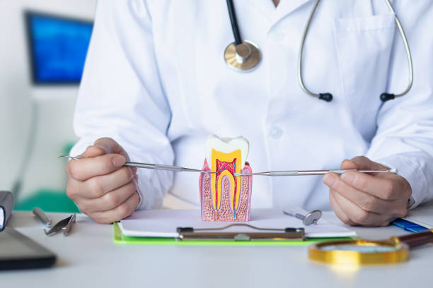 Best Walk-In Emergency Dental Services in Ladoga, IN